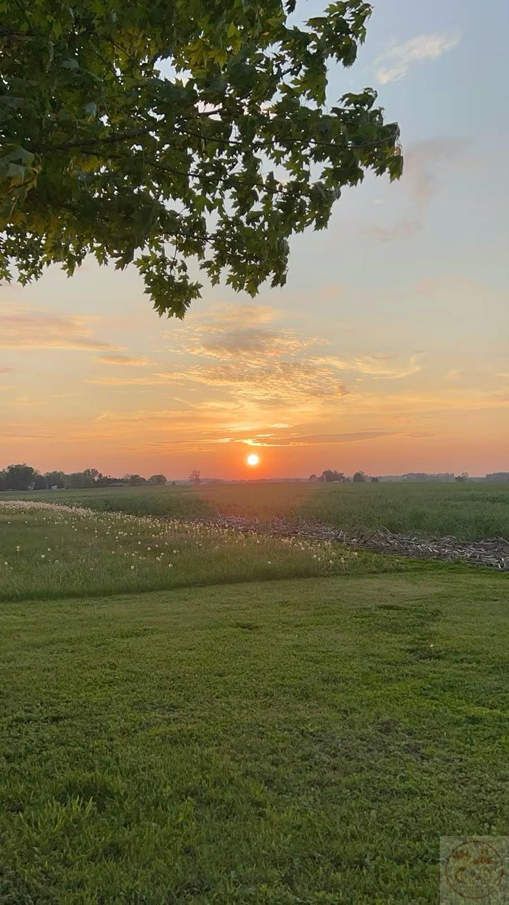 Đôi lúc một hơi thở quen thuộc cũng đủ gợi nhớ cả quãng đời đã qua