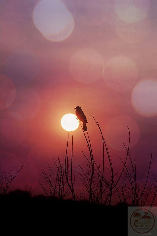 Khi lòng người chùng xuống, ký ức xưa lại trở thành điểm sáng dịu dàng