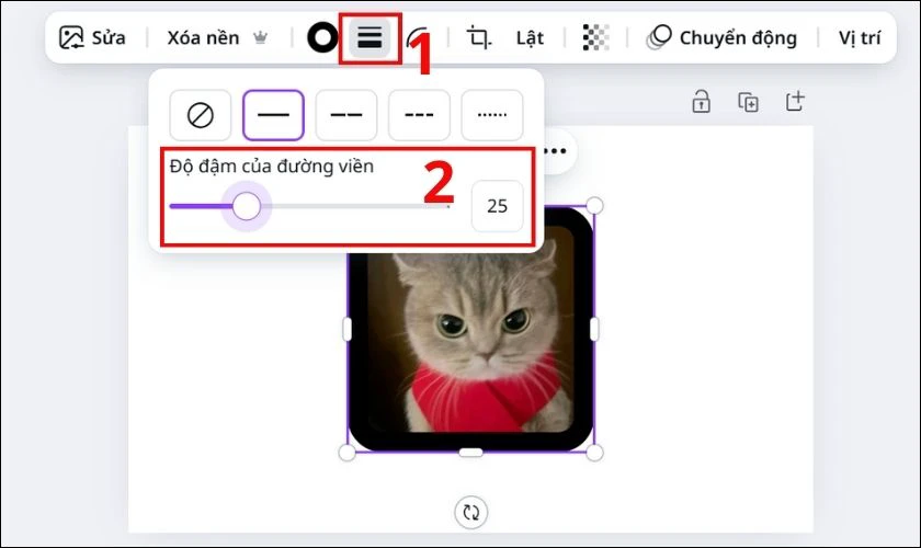 Bạn cũng có thể chọn tùy chọn kiểu đường viền và độ đậm khác