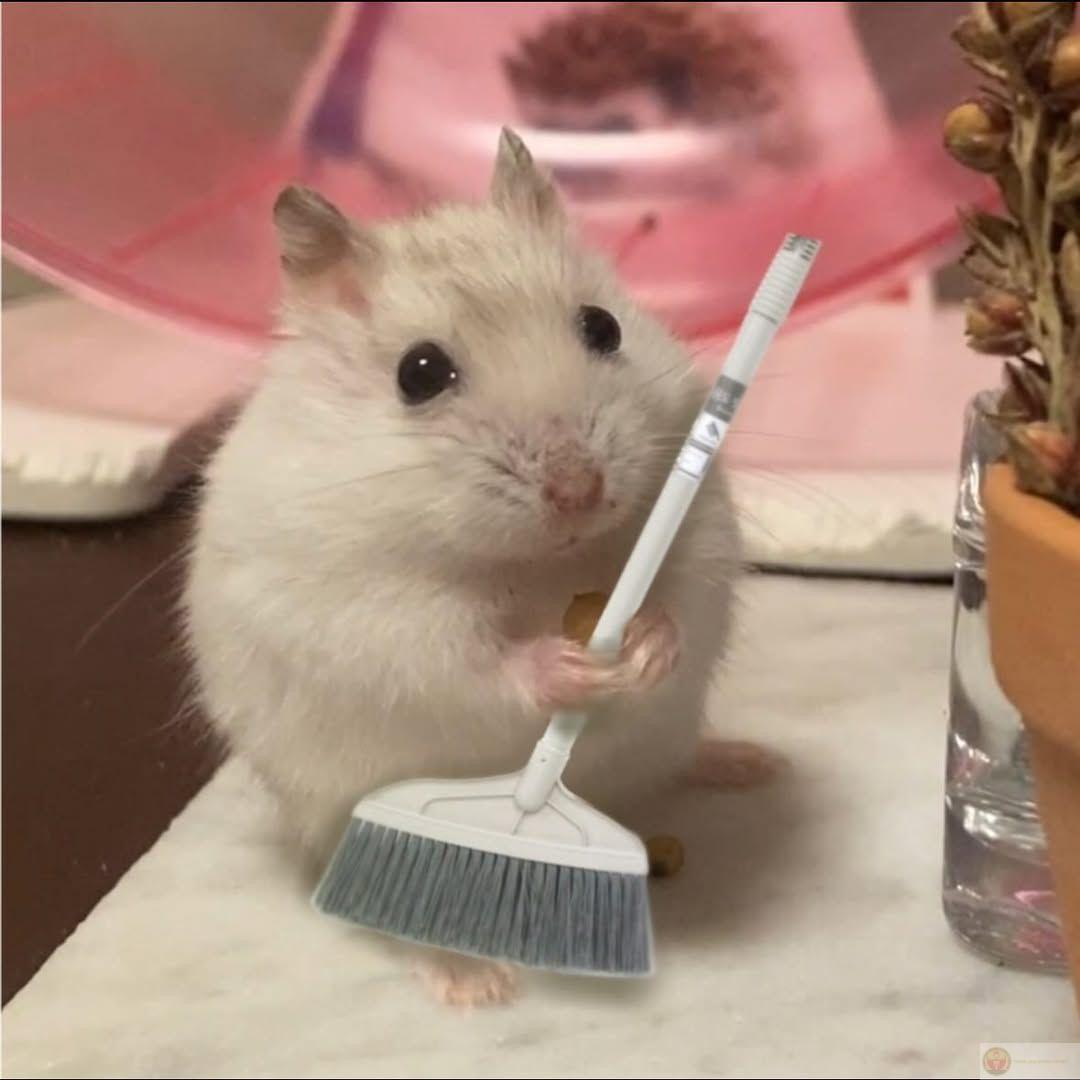 Những bức ảnh hài hước này đã làm cộng đồng mạng vô cùng thích thú