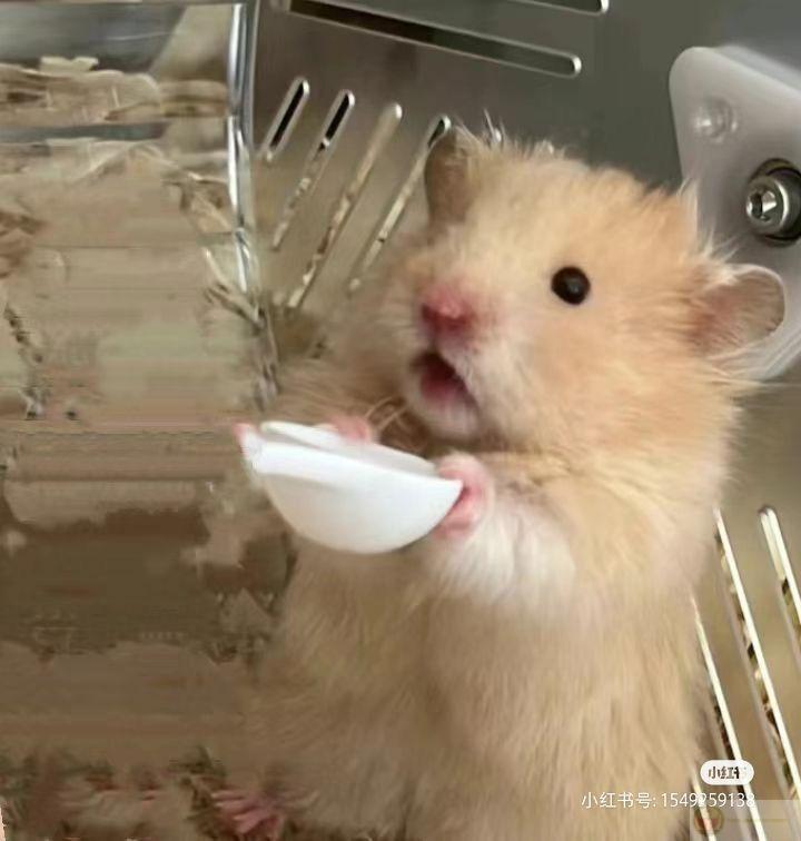 Hình ảnh vui nhộn này giúp bạn có thêm nhiều khoảnh khắc giải trí