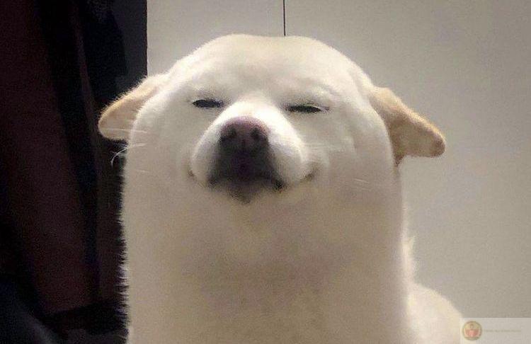 Chỉ cần có nắng là tao muốn được chụp ảnh