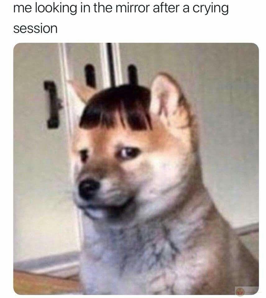 Tao không chảnh, tao chỉ không thích bị gọi mèo