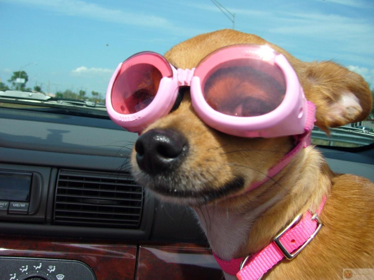 Cần gì filter khi mặt đã đủ biểu cảm