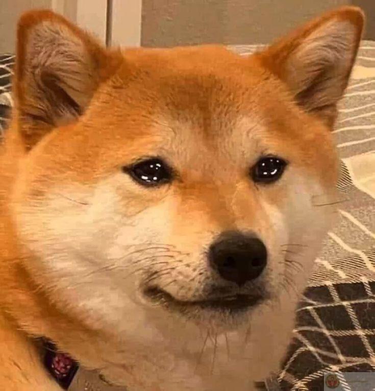 Cảm xúc tao giờ là không biết nên ngủ hay chơi