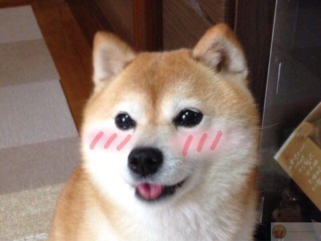 Cái mặt này là sinh ra để được ôm