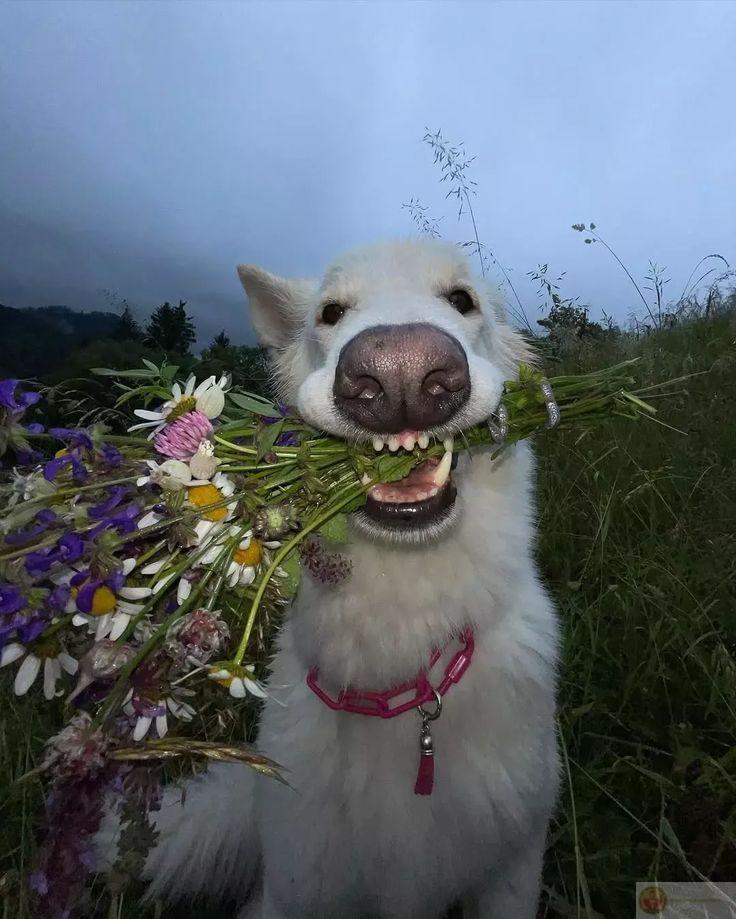 Bước nhẹ nhàng như sắp làm điều mờ ám