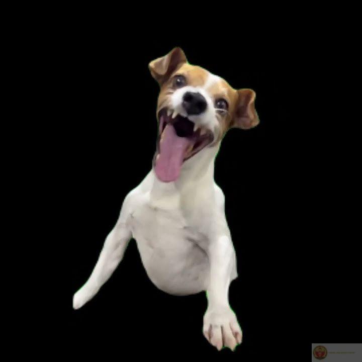 Thấy crush mà giả vờ không thấy