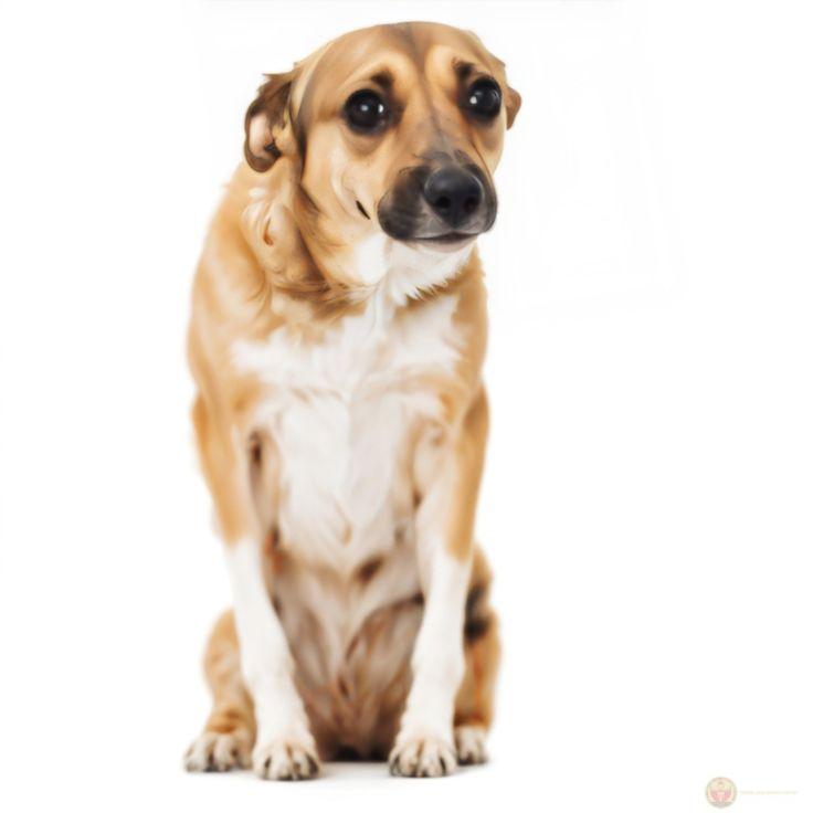 Đang vui thì ngủ quên mất tiêu