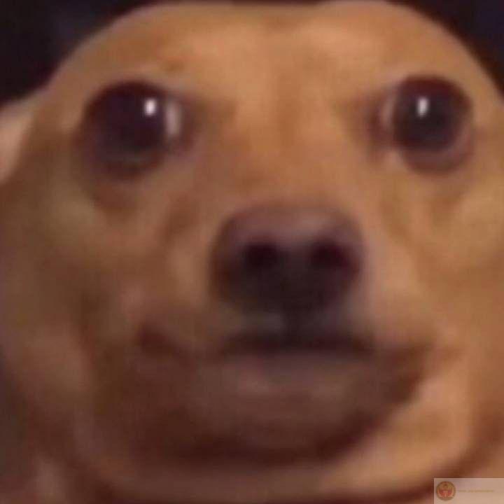 Chỉ cần nằm thôi là cảm thấy đủ