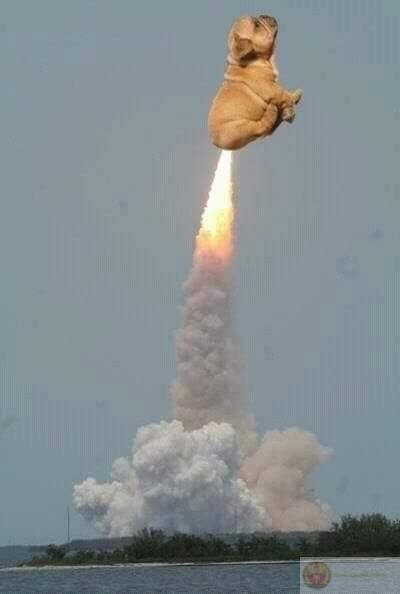 Buồn gì đâu mà ngồi thở nguyên buổi