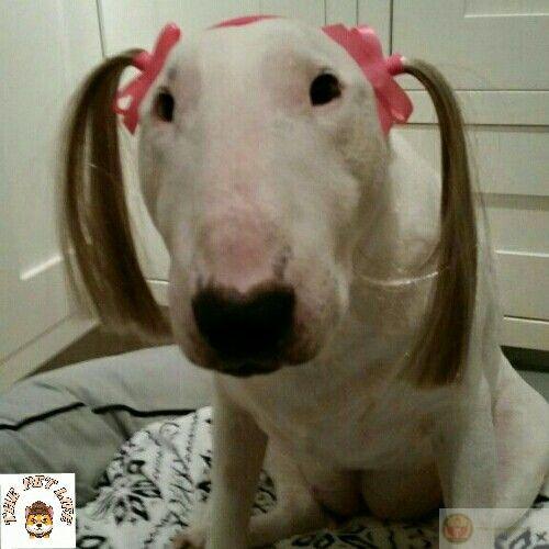 Ăn no rồi, lo chuyện thiên hạ