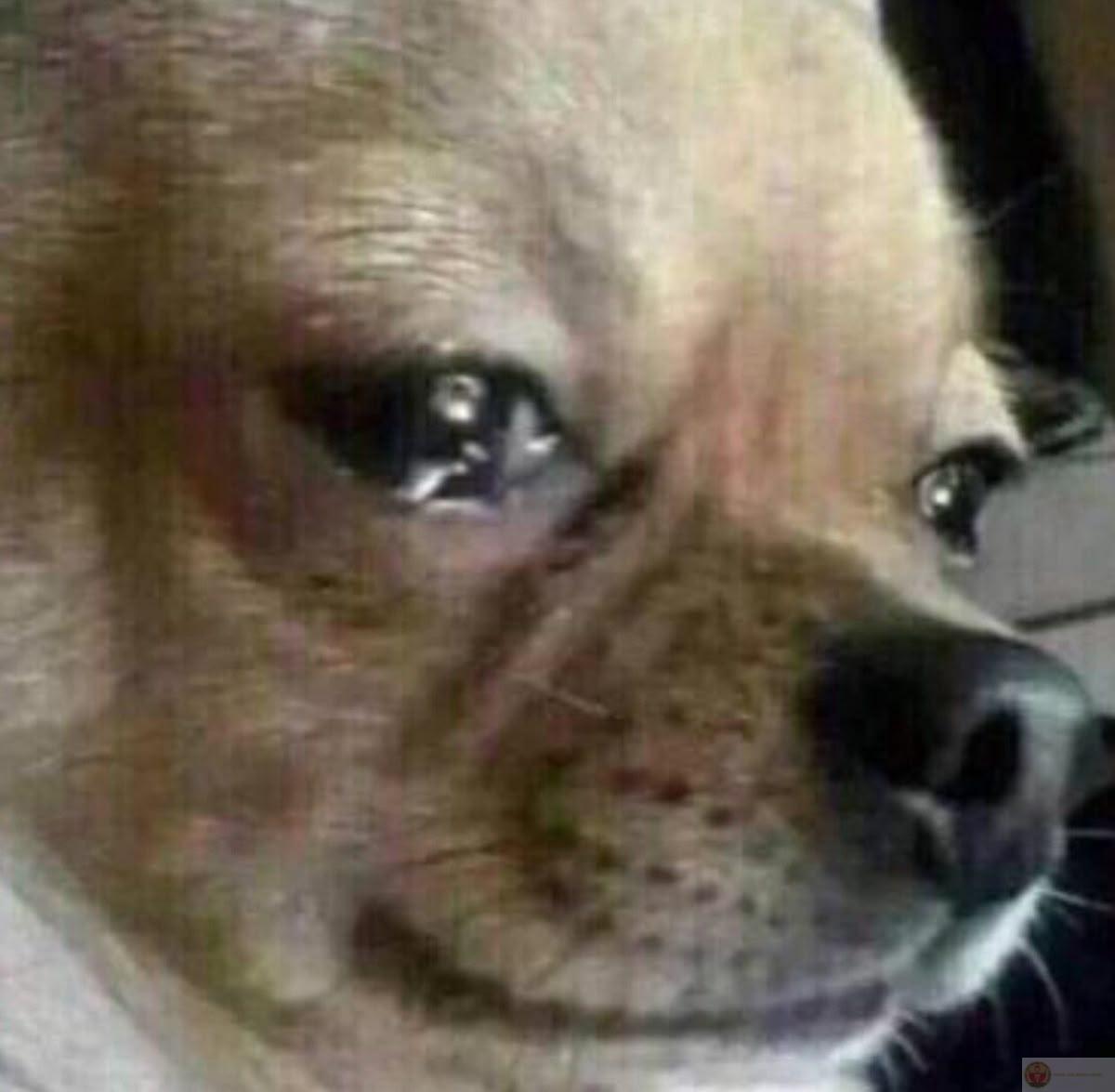 Tối nằm thở thôi, cũng mệt rồi