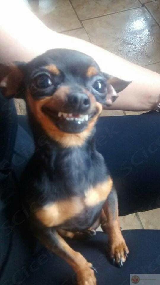 Tỉnh dậy đã thấy đời không như mơ