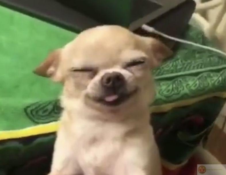 Tao nhìn mày vậy thôi chứ đang phán xét đấy