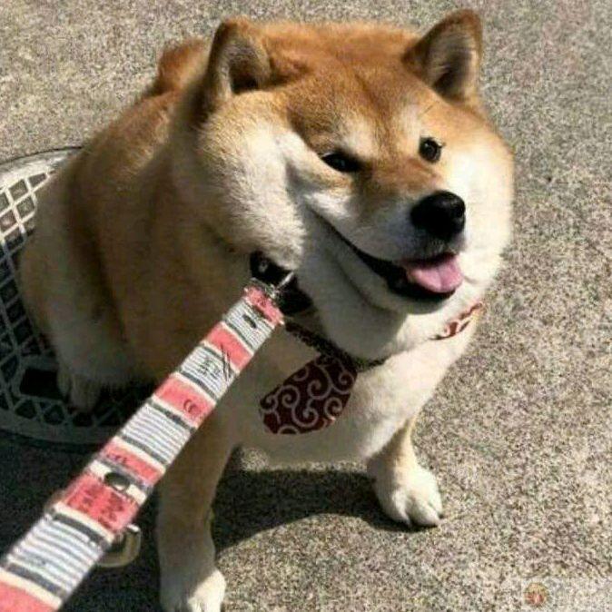 Thấy đồ ăn là lễ độ liền