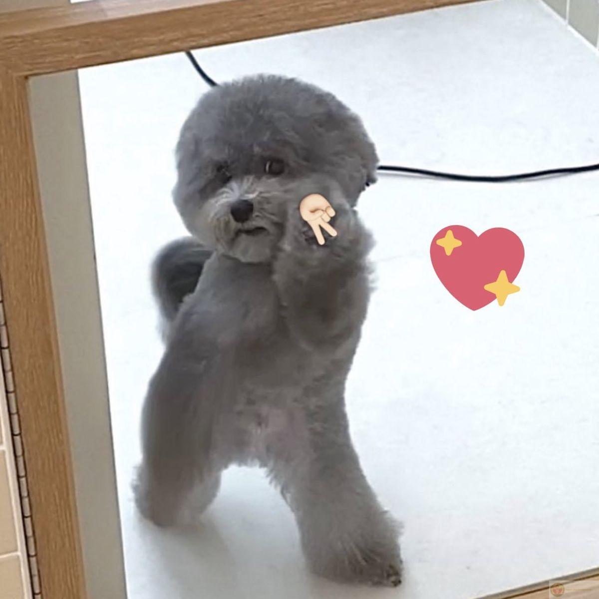 Thấy đồ chơi mới là làm mặt nghiêm