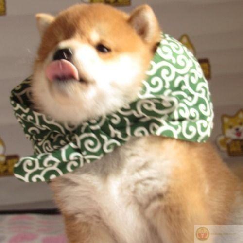 Tóc tai rối bời nhưng mặt vẫn rất là diễn