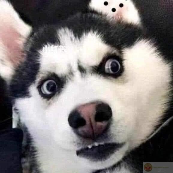 Tính cách ổn định như sóng Wi-Fi hàng xóm