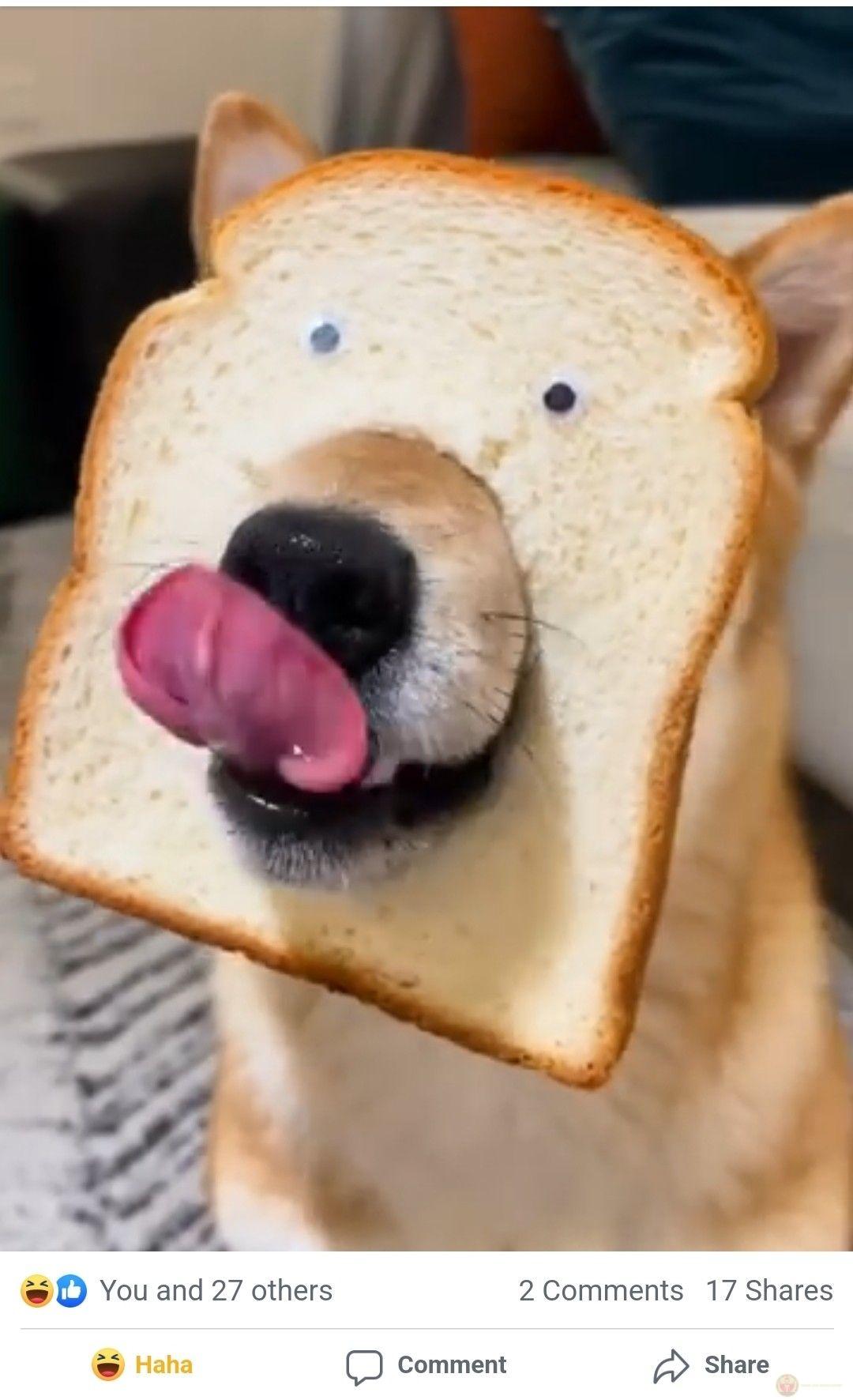 Vừa đi spa về, mặt vẫn còn thơm