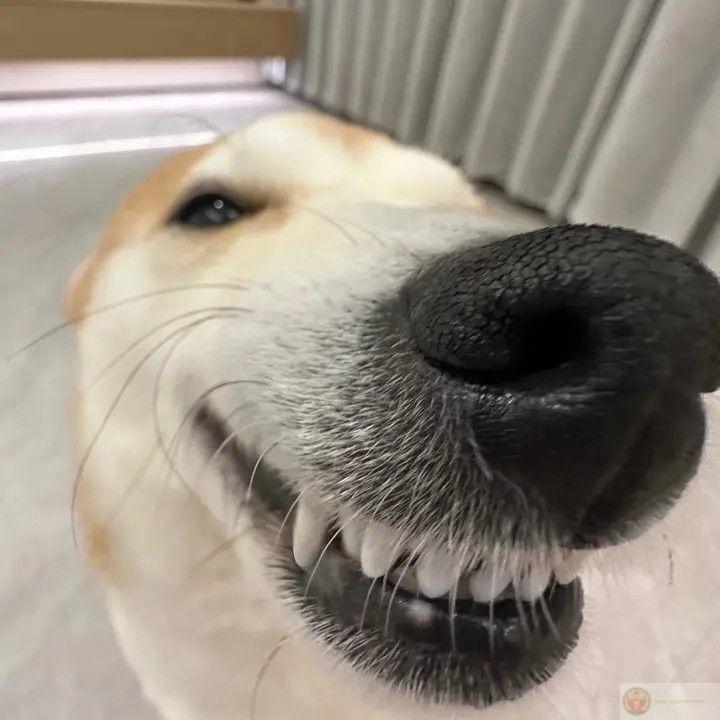 Bày đồ ra sống ảo thì tao nhập vai liền