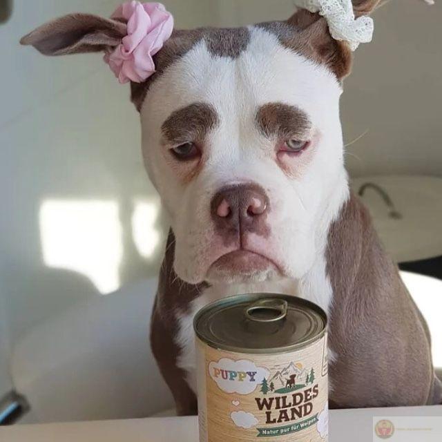 Bị la một lần là giận tới ngày hôm sau