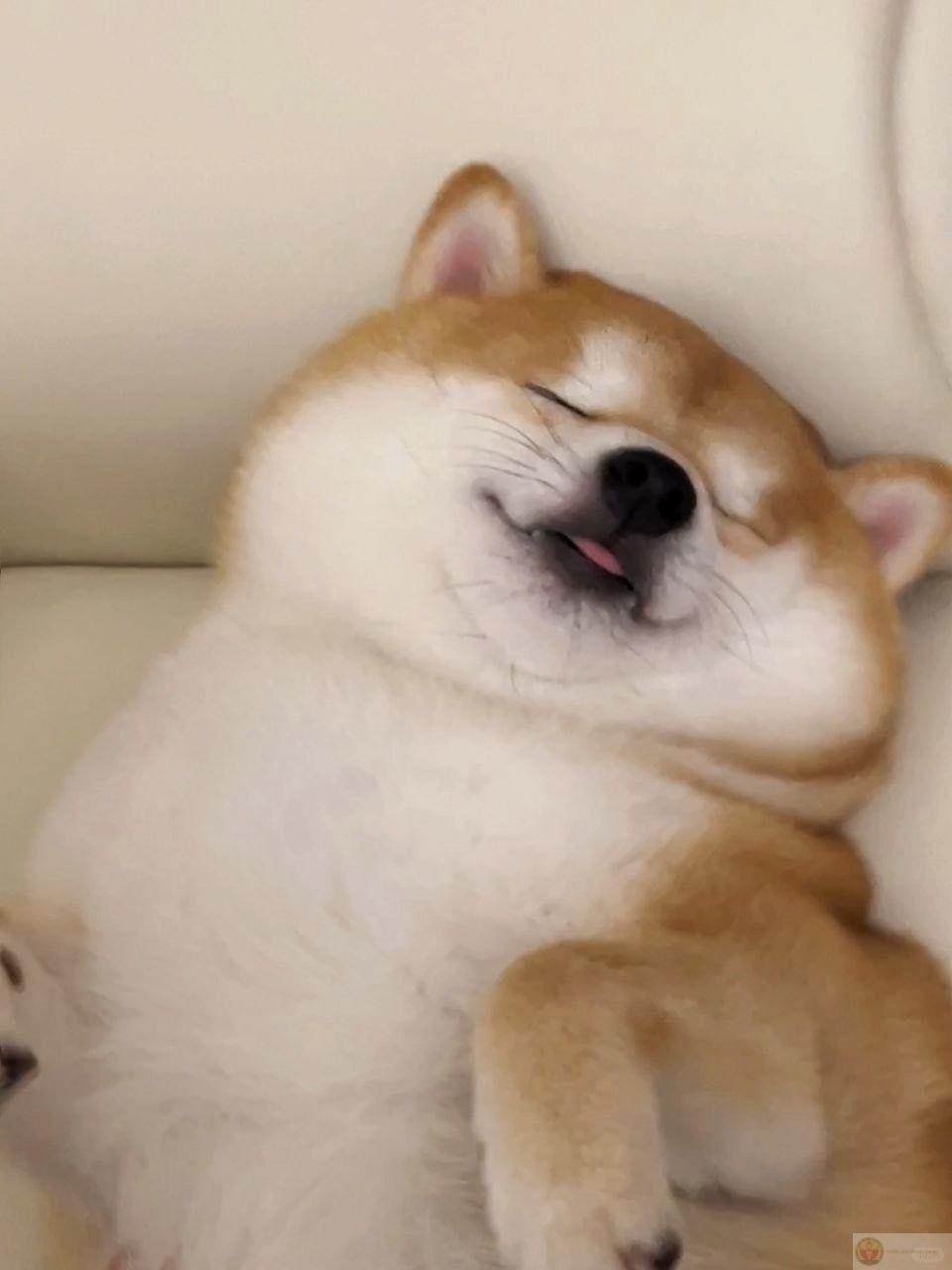 Ảnh selfie mà như ảnh chân dung chính trị