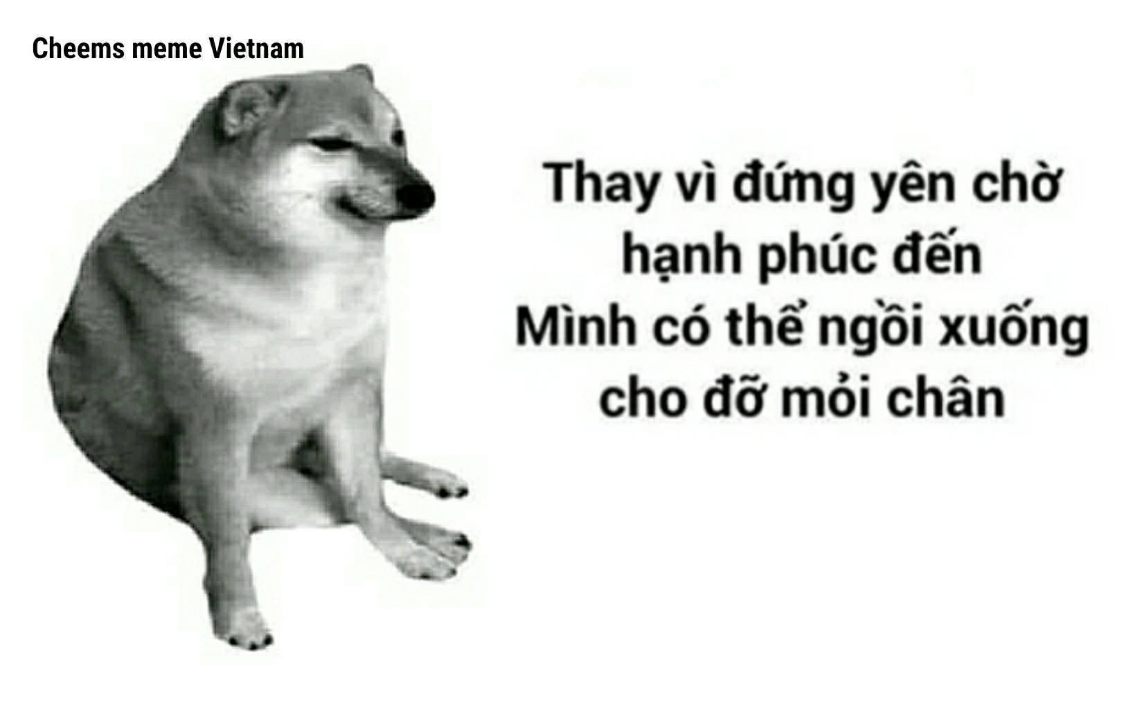 Tổng hợp các meme cheems thú vị nhất