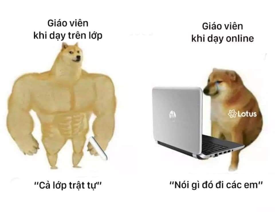 Một số cheems khác