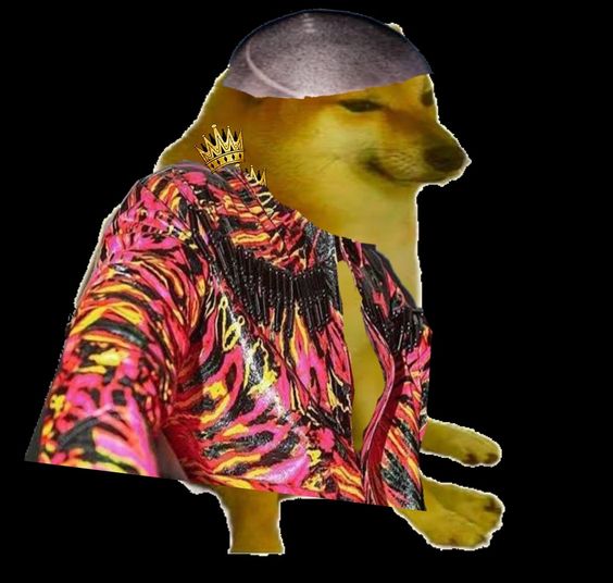 Chú chó Cheems cosplay