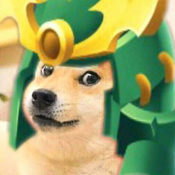 Chú chó Cheems cosplay