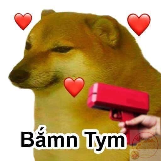 Ghim của __kisslove__ trên ♡ Meme ♡ | Hài hước, Meme, Shiba inu