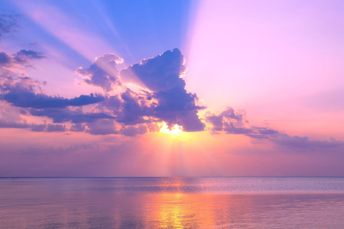 Khám phá cách tối ưu hóa môi trường chụp ảnh