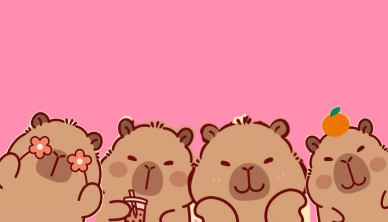 ảnh nền cute capybara siêu đáng yêu cute