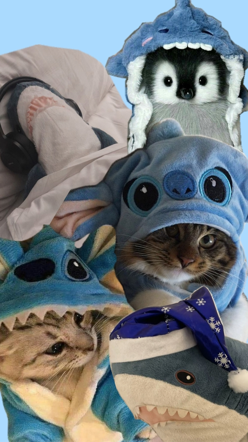 ảnh nền điện thoại cute của thú cưng cute