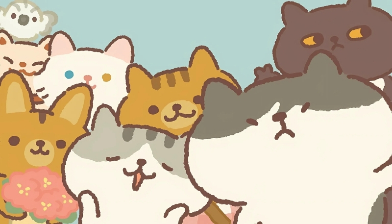 ảnh nền cute mèo tam thể