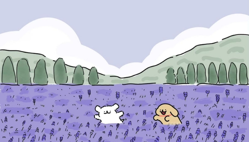 ảnh nền điện thoại động vật thỏ