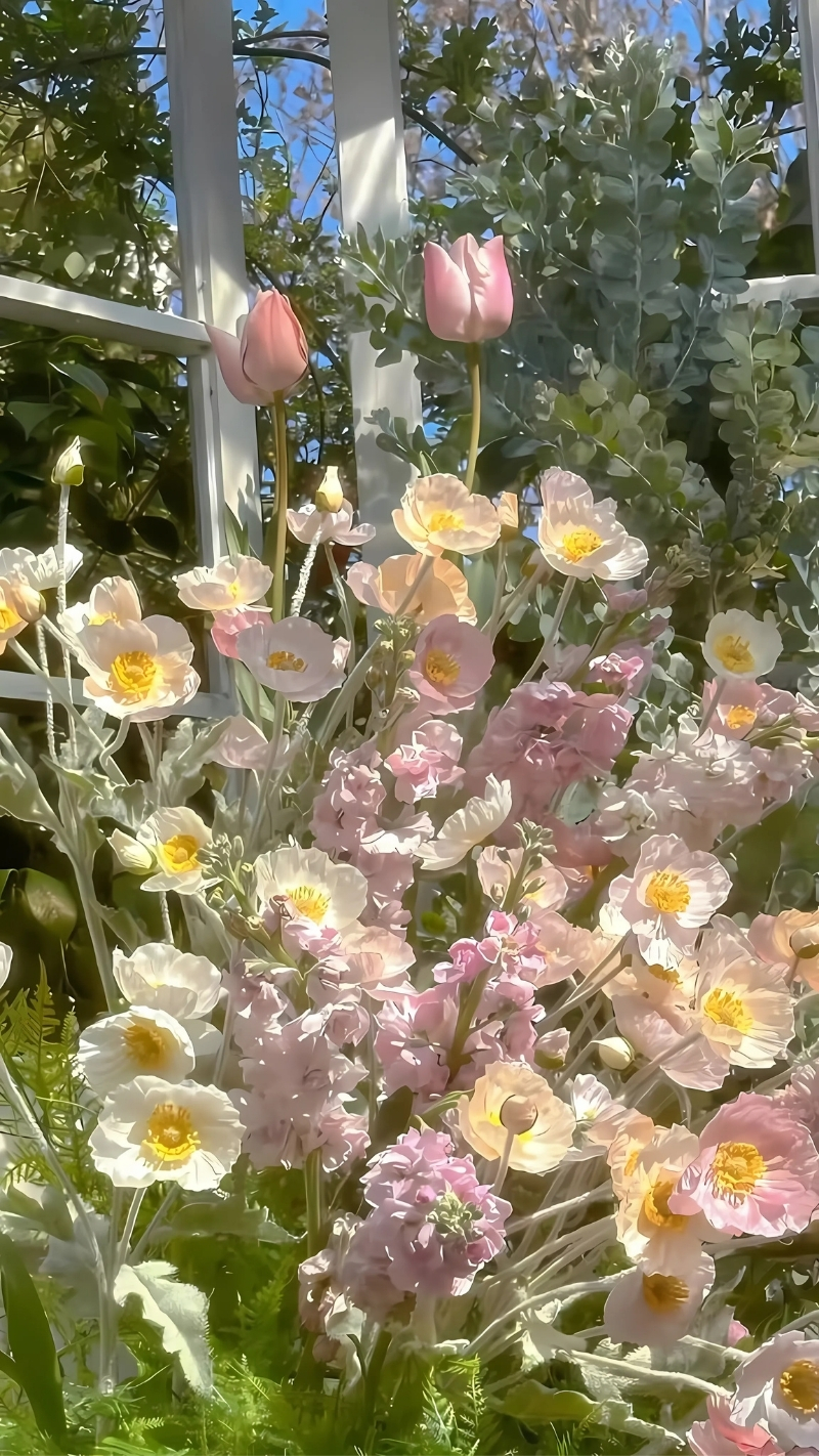 ảnh nền cute thủy cung