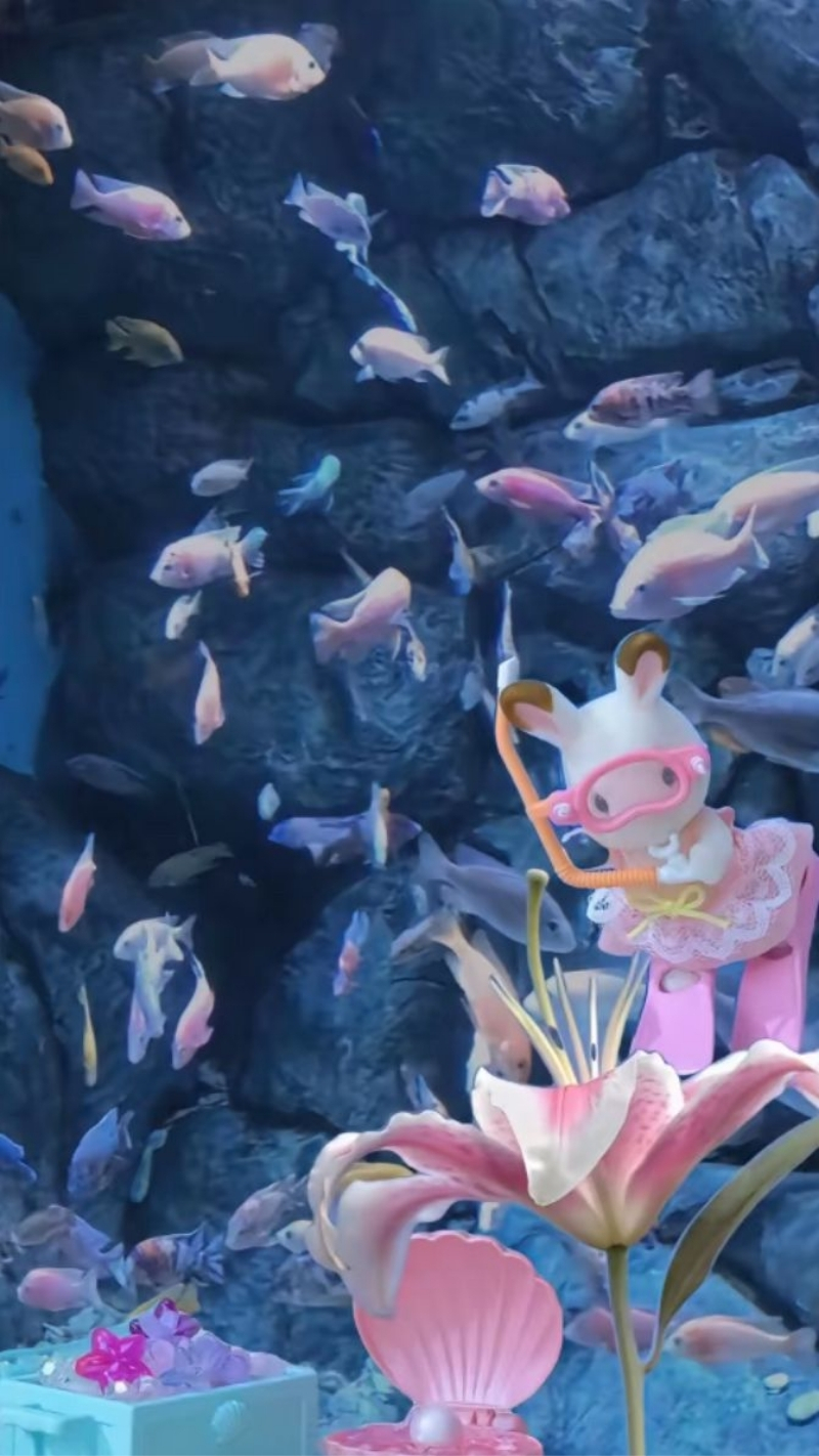 ảnh nền cute điện thoại đại dương xanh