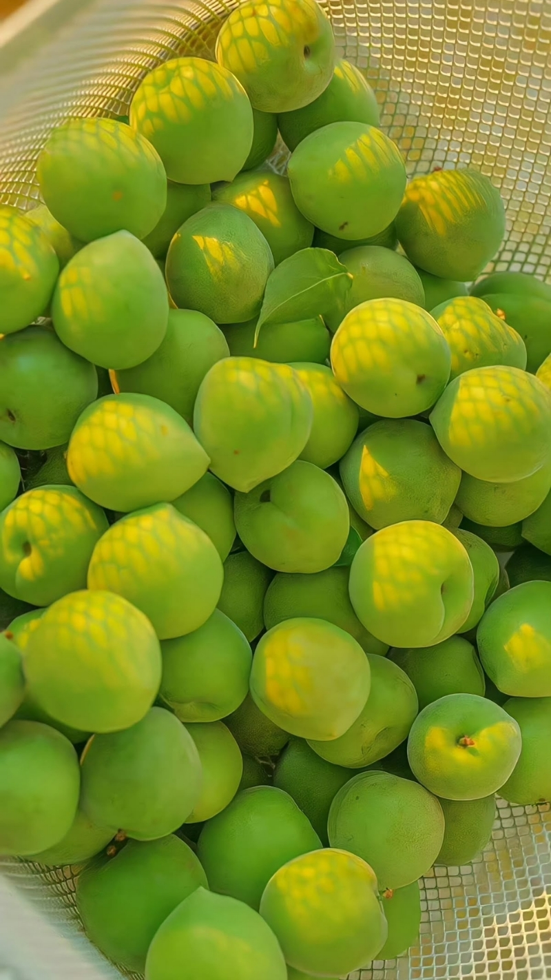 ảnh nền cute nhà ngói đỏ