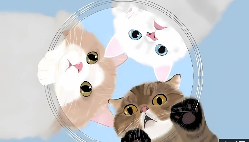 ảnh nền cute mèo ngố