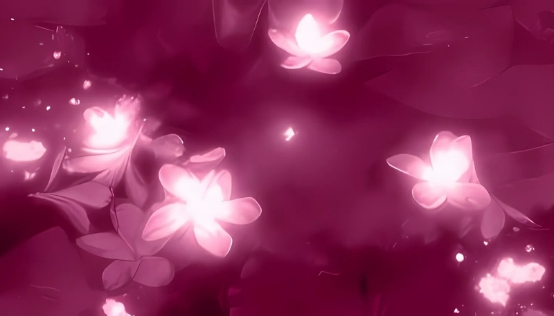 ảnh nền cute hồng lãng mạn