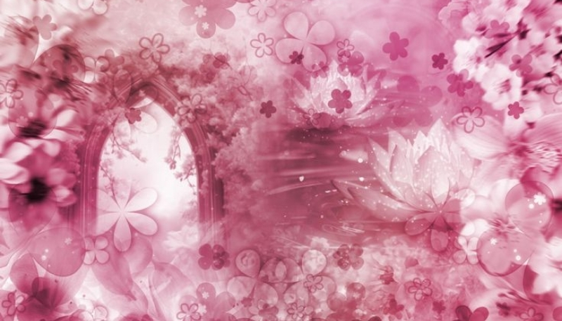 ảnh nền cute anh đào