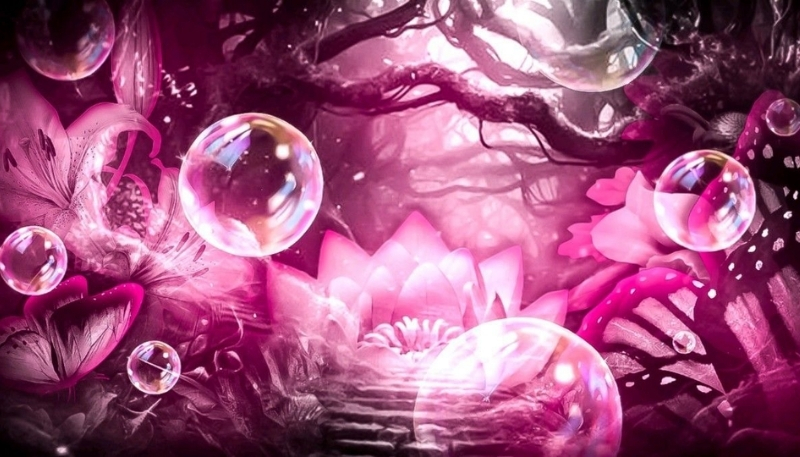 ảnh nền cute ánh hồng