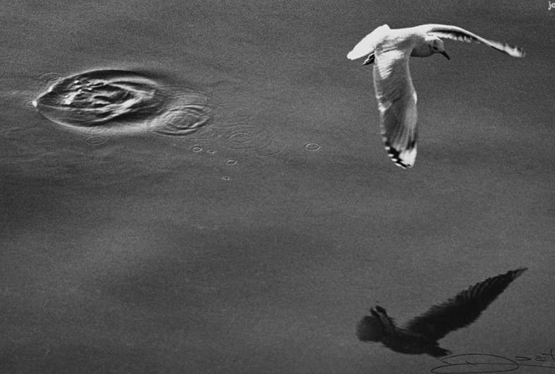 20 tác phẩm đen trắng đẹp khó quên của các huyền thoại nhiếp ảnh