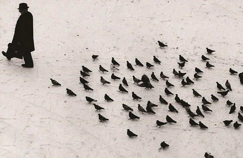 20 tác phẩm đen trắng đẹp khó quên của các huyền thoại nhiếp ảnh