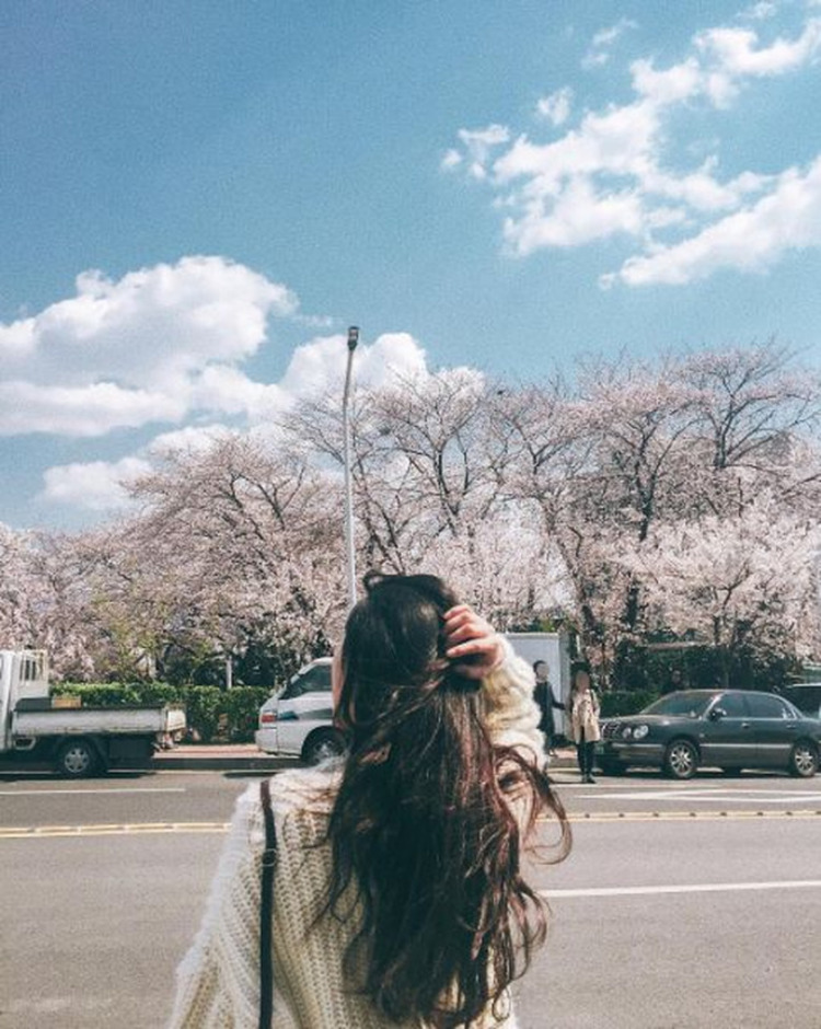 hình ảnh chụp sau lưng đẹp