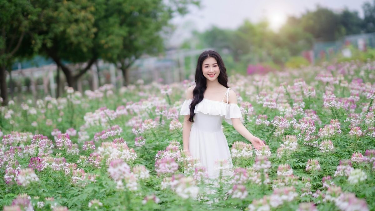 Hình Ảnh cô gái xinh đẹp thuần khiết