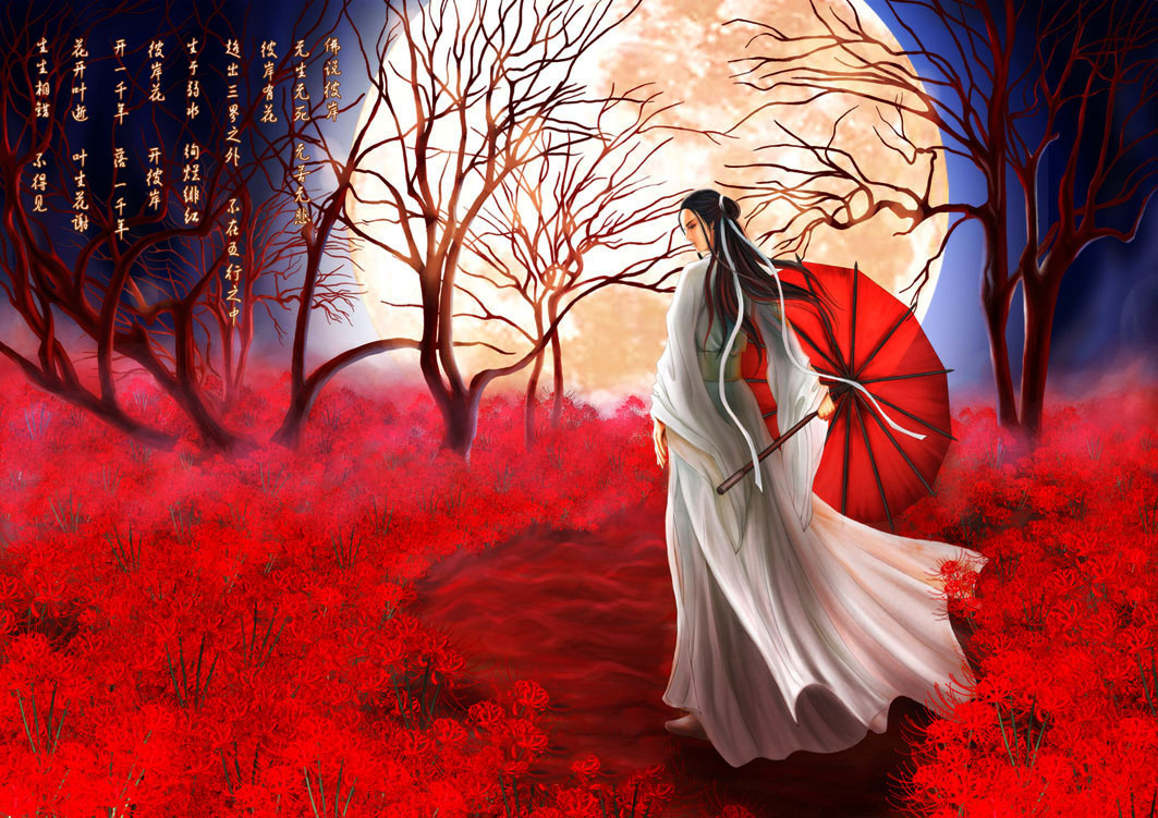 hình nền hoa bỉ ngạn 3d