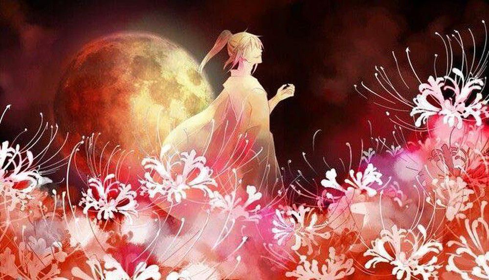 hình nền hoa bỉ ngạn 3d